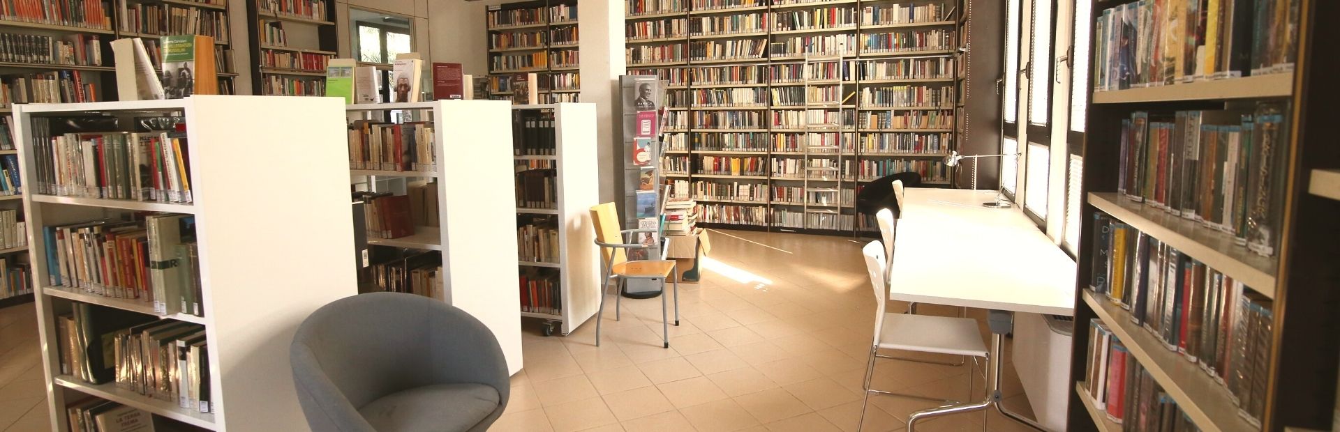 libri - Libri e Riviste In vendita a Modena